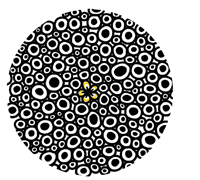 blink blink!